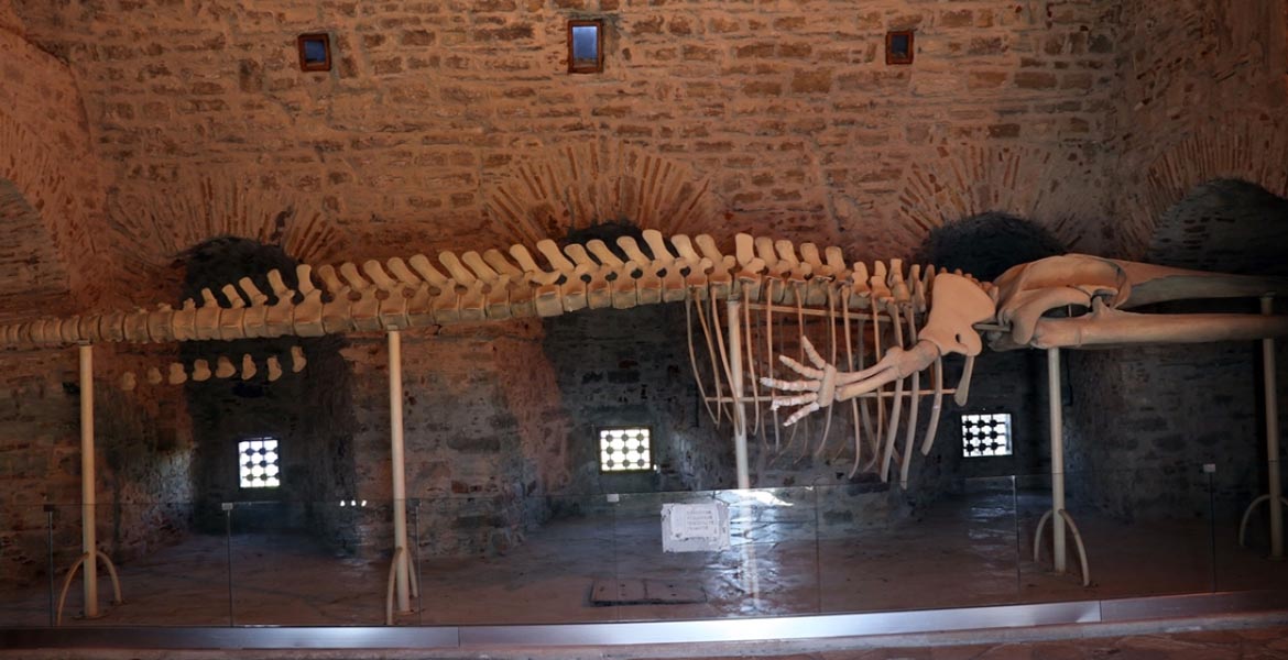 Güvercinada Kalesi: Denizle Buluşan Tarih